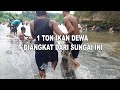 JALA IKAN DI SUNGAI, IKAN MAHAL SEMUA HASILNYA...!!!