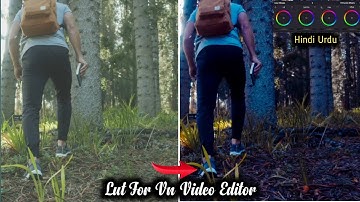 best cinematic color grading lut for vn video editor in hindi urdu | best video editor 2021 | editor