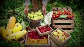 Circuitos Agroindustriales de la Economías Regionales