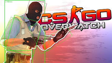 WAY TOO OBVIOUS! (CSGO Overwatch) 2022