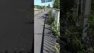 Walking Around The Subways Bendy Path.