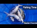Fishing Video . Fun Time With Adam Boy
