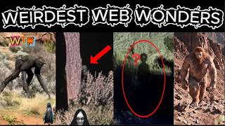 weirdest web wonders vol 176
