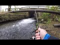 I've NEVER Seen THIS MANY TROUT! (spillway trout fishing)