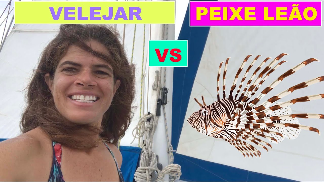 ⁣[Eps. 20]. Peixe-leão vs Vela! Quando um peixe leão destrói seus planos de velejar!
