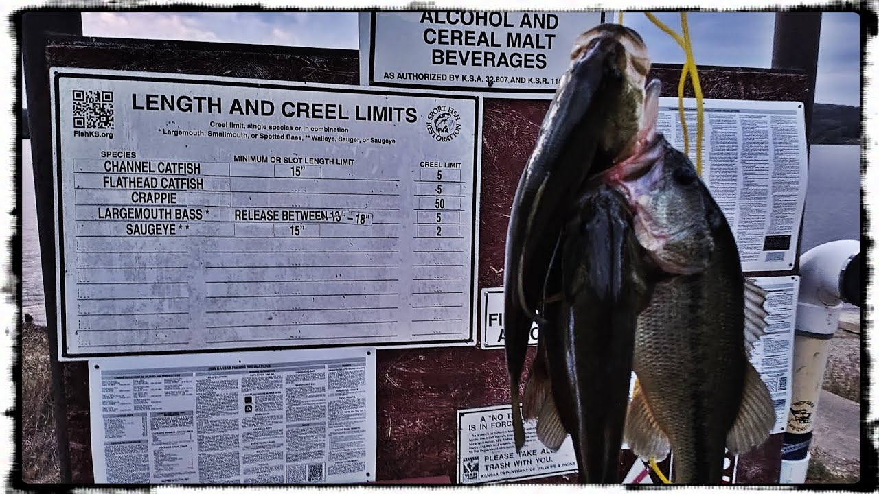 Can I Catch My Limit of Largemouth Bass?