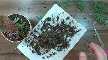 3D Pen art A woman in the form of a flowering tree