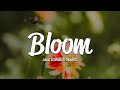 Lucas Estrada TWOPILOTS Bloom Lyrics mp3