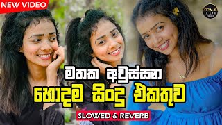 Best Sinhala Songs Collection | Sinhala Songs | Slowed And Reverb Sinhala Songs