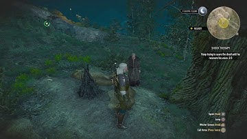Witcher 3 - Mute Druid