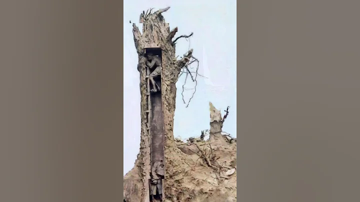 Fake Trees of World War 1#shorts #viral #education #history #facts