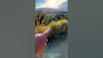 #spider #web #spiderweb #spiderman #nature #geometry #shapes #math #universe #god