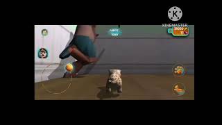 Cat Simulator 2015 Sweet Steam Reverse  screenshot 4
