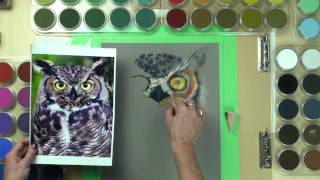 FULL PanPastel Owl Painting Demonstration - Joanne Barby