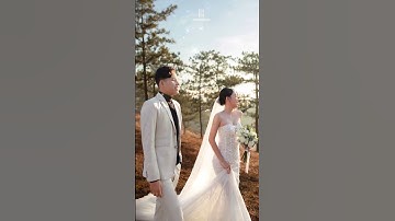 săn mây đồi cỏ hồng Đà Lạt