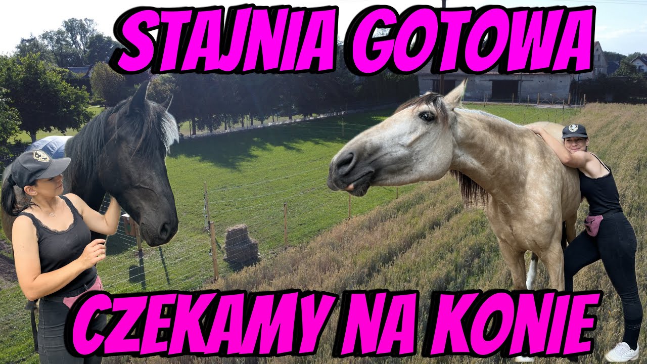 Projekt STAJNIA zakończony?