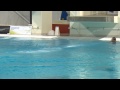 Eindhoven Diving Cup 2015, Platform men/women