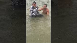 Giant Catfish Goes Crazy When Noddling With Barrons