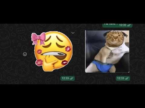 huehuehueheu