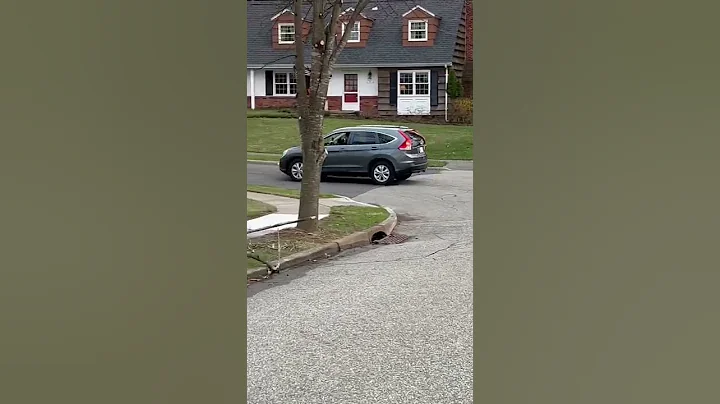 Never let them know your next move 😂 #Shorts #funny