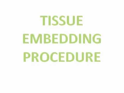 Tissue Embedding Procedure