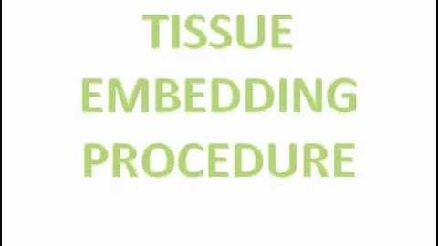 Tissue Embedding Procedure
