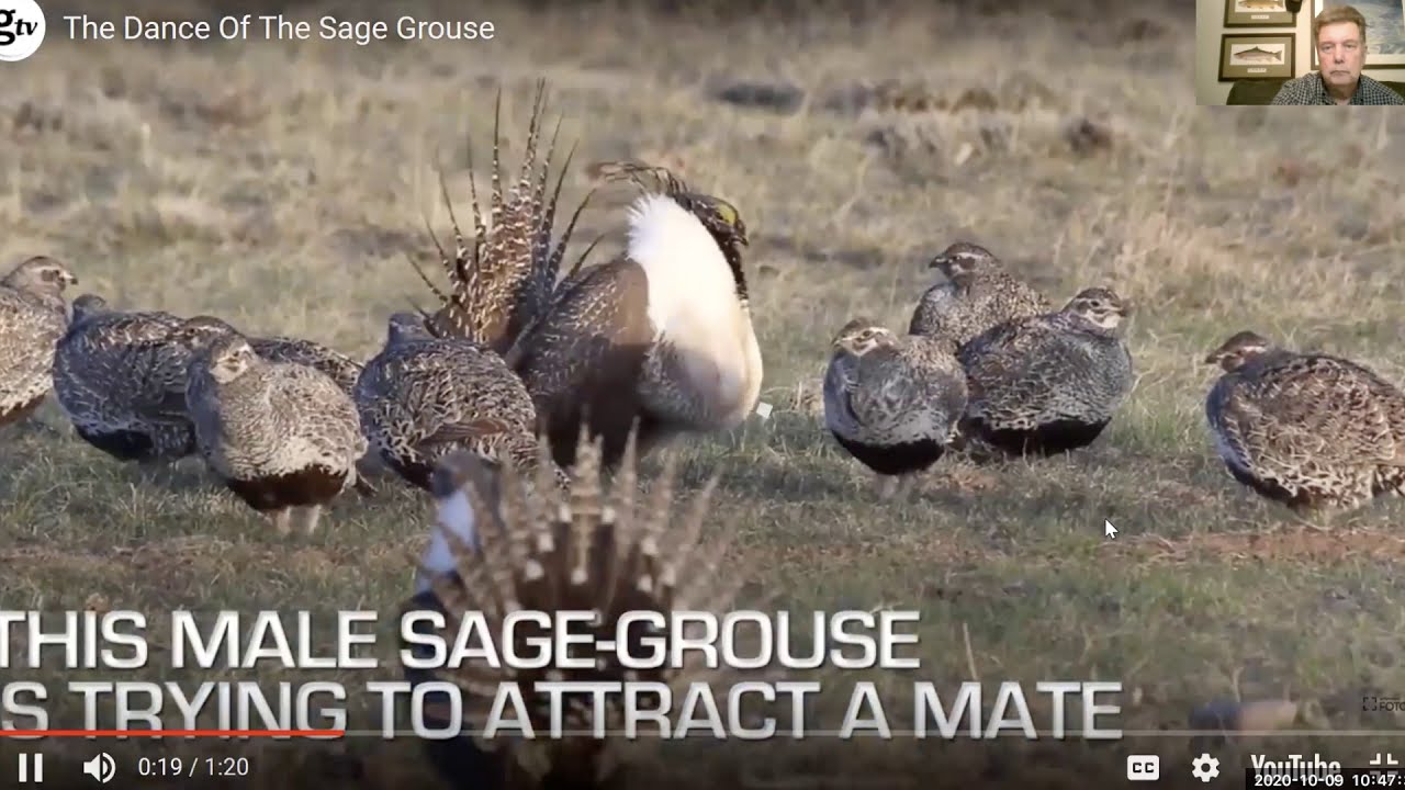 Video Placeholder Image