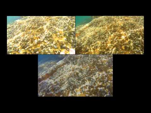 confronto GoPro Sj5000+ Git1 2