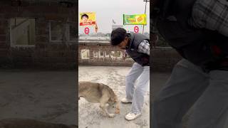 Parle-G lover dog😅😂 #youtubeshorts #minivlog #challenge #funny #vlog