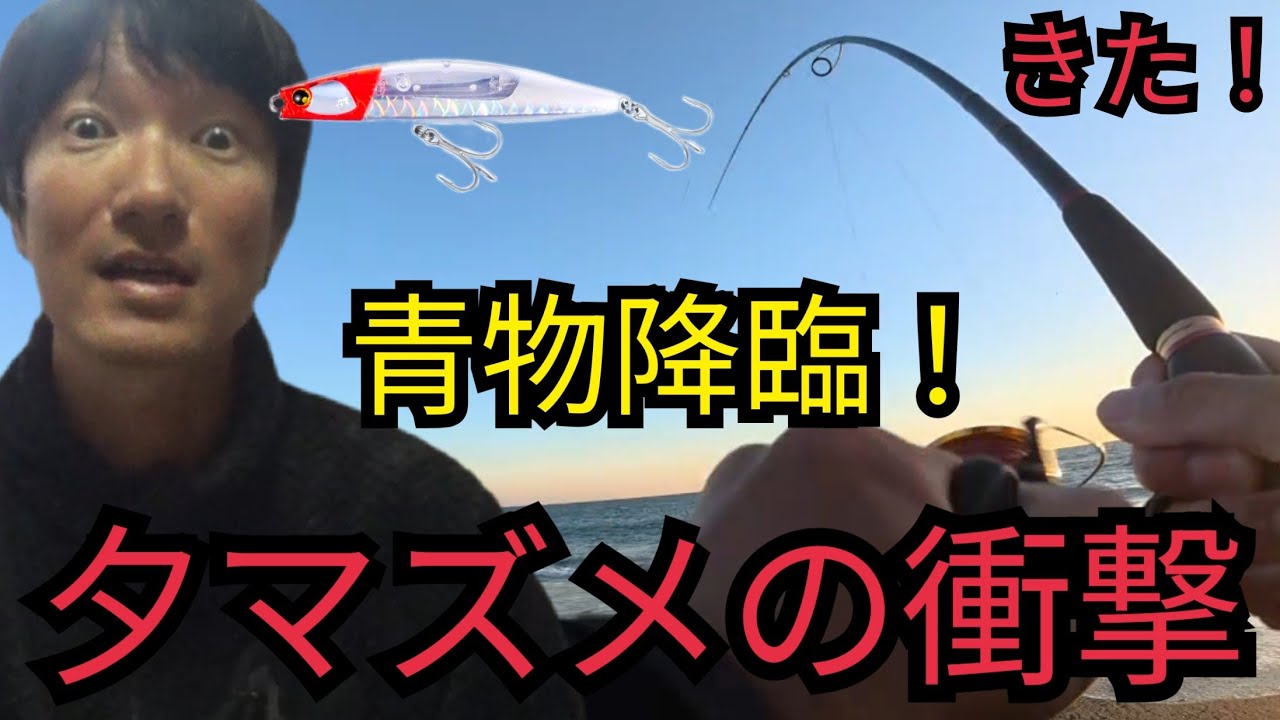 【冬の遠州灘サーフ】エサを使い切るまでキス釣り…のはずが夕マズメに青物降臨！絶品料理とレモンサワーで優勝する🤤