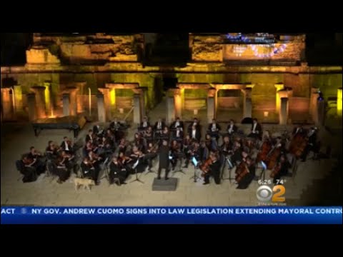dog crashes orchestra dog crashes orchestra