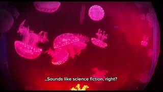 "Imagine there’s a creature that has found a way to beat death. Sounds like science fiction, right?