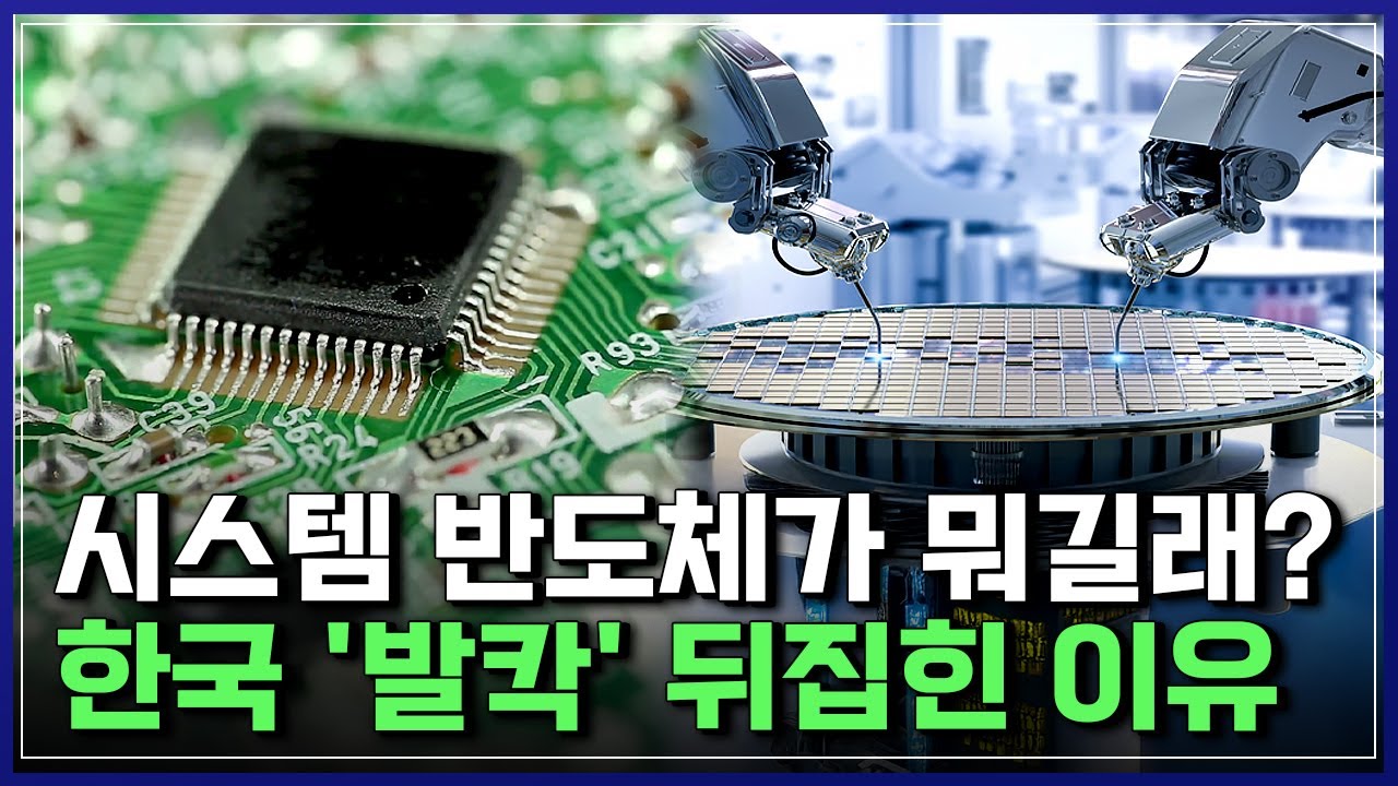 ⁣시스템 반도체가 뭐길래? 한국 '발칵' 뒤집힌 이유 [반복재생] / YTN 사이언스
