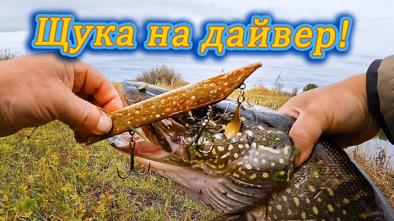 Щука на небольшой дайвер. Ловля щуки на джеркбейты 
