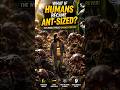 What If Humans Became Ant-Sized? 😱 The World Would Change Forever! | Science Mystery #shorts