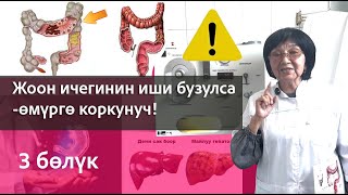 видео: «Гидроколонотерапиянын пайдасы жана чындык» картинка: «Гидроколонотерапиянын пайдасы жана чындык»