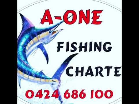 A1 Fishing Charters Airlie Beach Whitsundays - YouTube