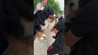 When a dog gets a puppy ️