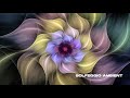 Rose Quartz Frequency | Healing Love Energy | Relaxing Music 528 Hz