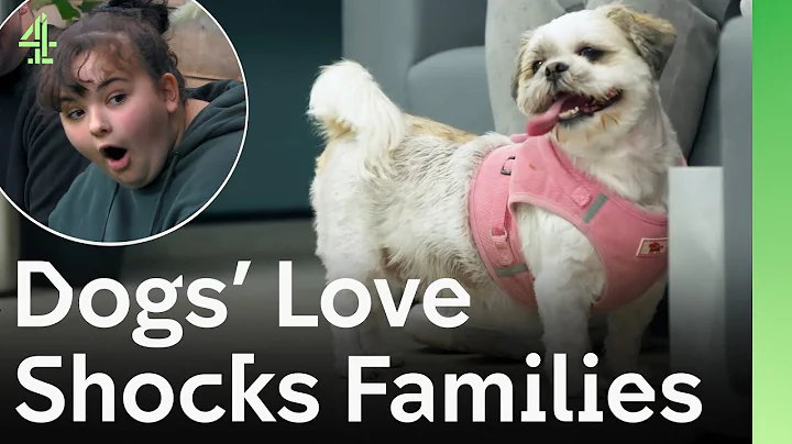 Rescue Dogs Shock Their New Families With Their Love | The Dog House 🐶