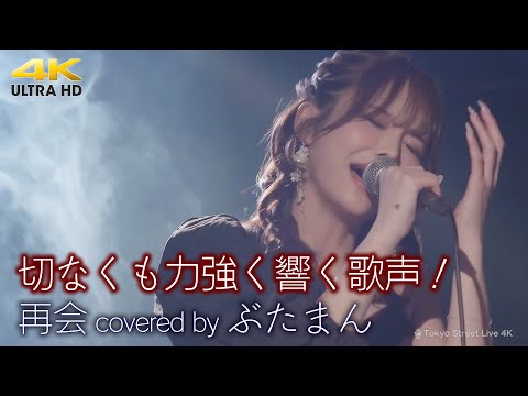 【 歌うま 】切なくも力強く響く歌声！　 再会 / LiSA x Uru（ covered by ぶたまん ）4K映像