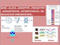Unraveling Genes and DNA: Key Concepts in Genetics