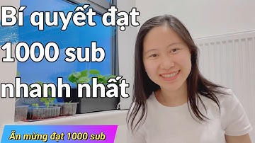 #33 - Ăn mừng đạt 1000 sub Youtube - Bí quyết đạt 1000 sub nhanh nhất