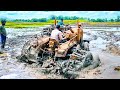 Mahindra 575 yuvo tractor stuck in mud | takes help eicher #rajesheslavath