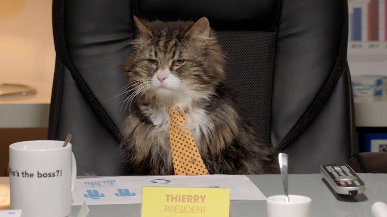 Netto - Champion des prix bas