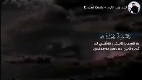 تلاوة في غاية الخشوع للقارئ دلشاد احمد الكردي.
