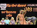 Pind life 2  tarapaal  newvlog  new julmibacha tarapaal youtube