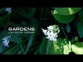 GARDENS | ５月の北庭のお手入れ Maintenance of the north garden #2【ガーデンズ 】