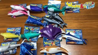 クロコダイル＆Ｃｏ.（アンドコ）トイザらス限定ver 16種類コンプリートセット トイザらス限定 トイザらス限定 クロコダイル＆CO. | おもちゃ