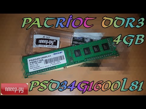 Patriot Memory PSD34G1600L81 DDR3 4ГБ отзывы в Плеер.Ру